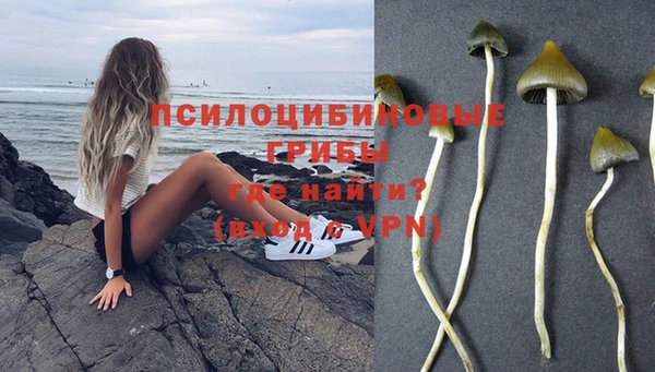 марки lsd Аркадак